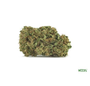 Strawberry-Romulan