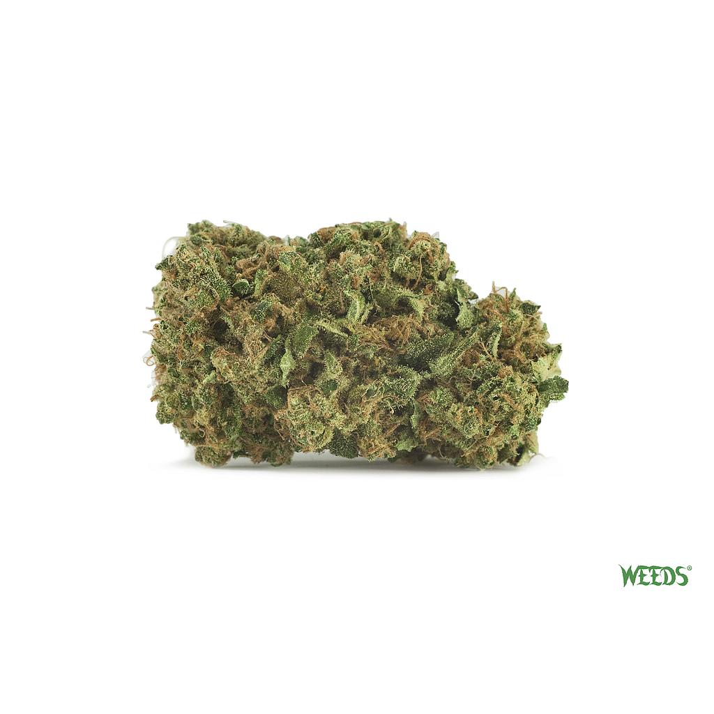 Strawberry-Romulan