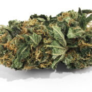king-kush