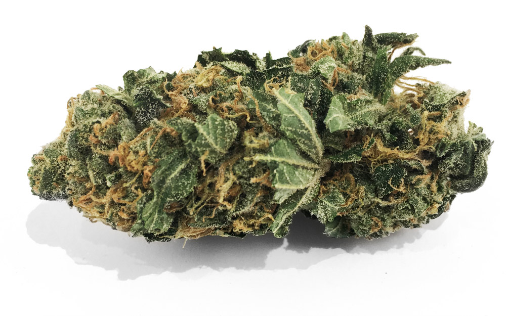 king-kush