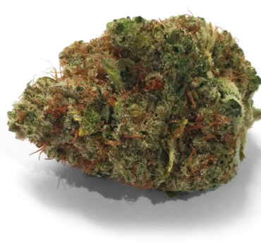 Chocolope