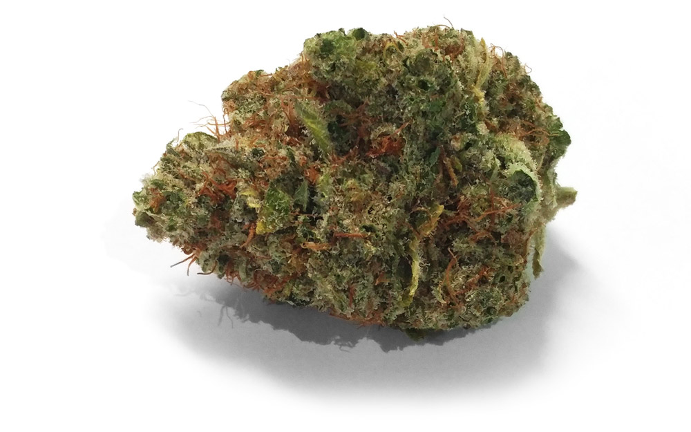 Chocolope