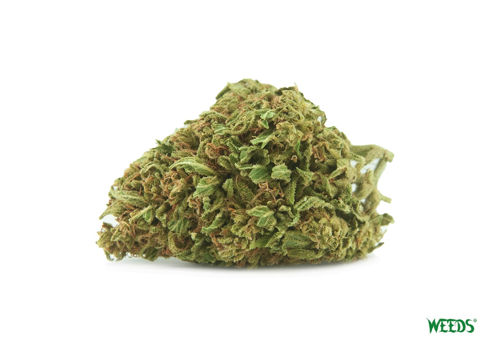 WEEDS®-Flower-of-the-Week_-Nirvana
