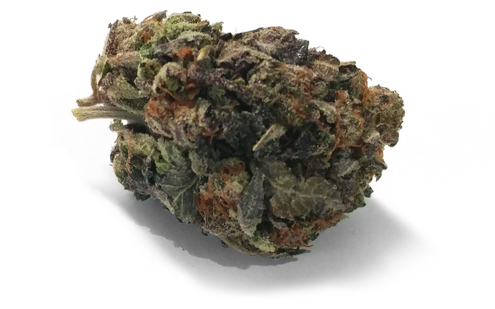 black-tuna