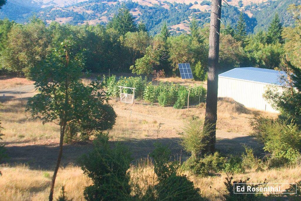 Security for an outdoor grow.