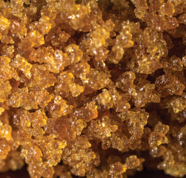 Bubble_Hash_by_Marcus-Bubbleman-Richardson_Ed_Rosenthal (1)