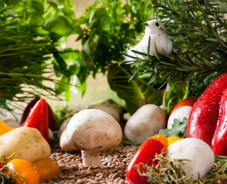 vegetables-2943500_1280