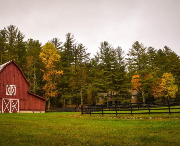 barn Frances Gunn