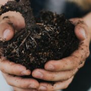 soil Kyle Ellefson