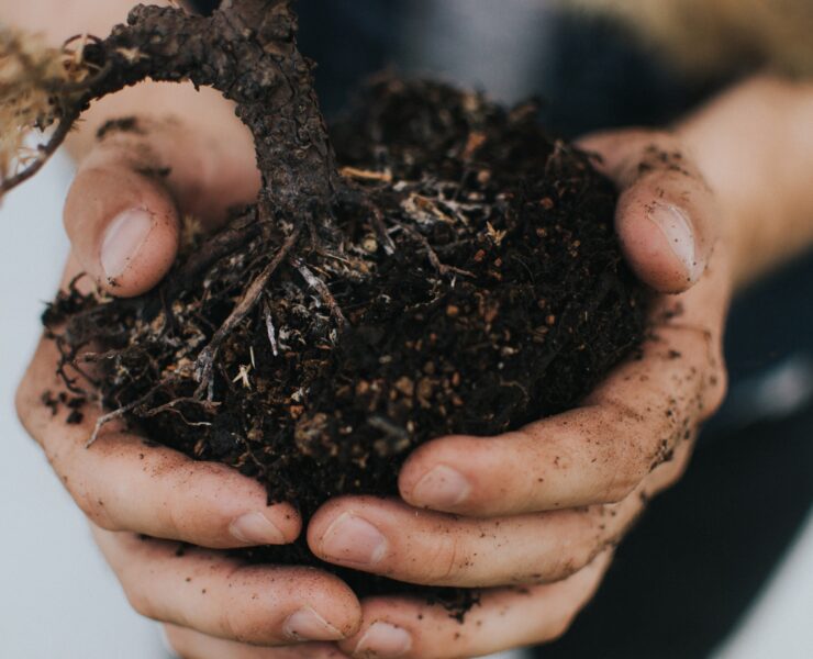 soil Kyle Ellefson
