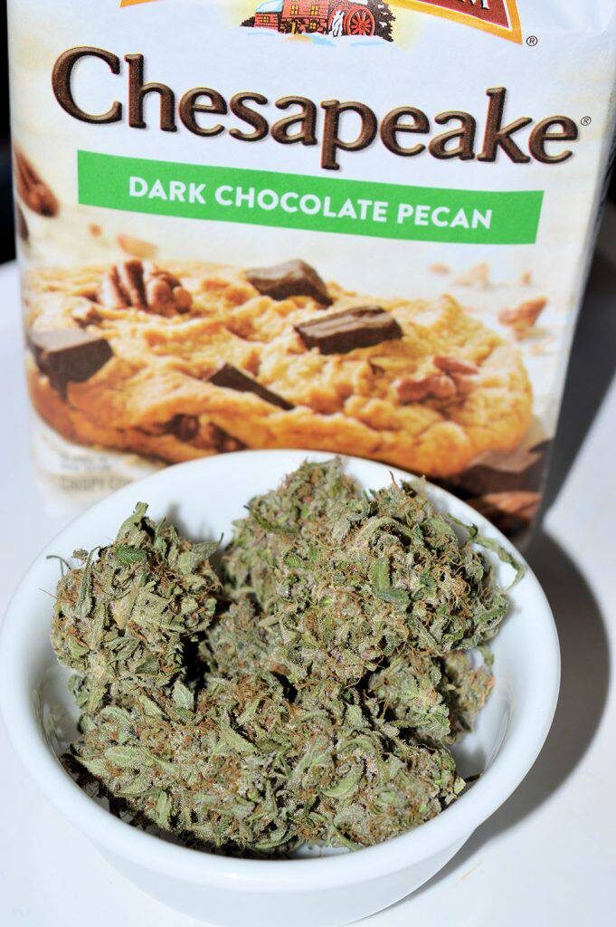 Durban Black with some yummy cookies