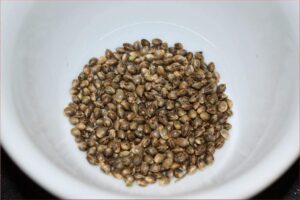 Just Use Smaller Plastic Containers for Storing Smaller Numbers of Seeds