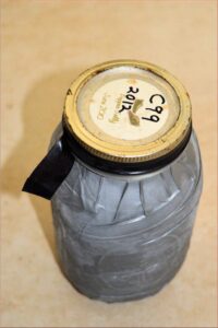 Single Variety Bulk Seeds Stored Frozen