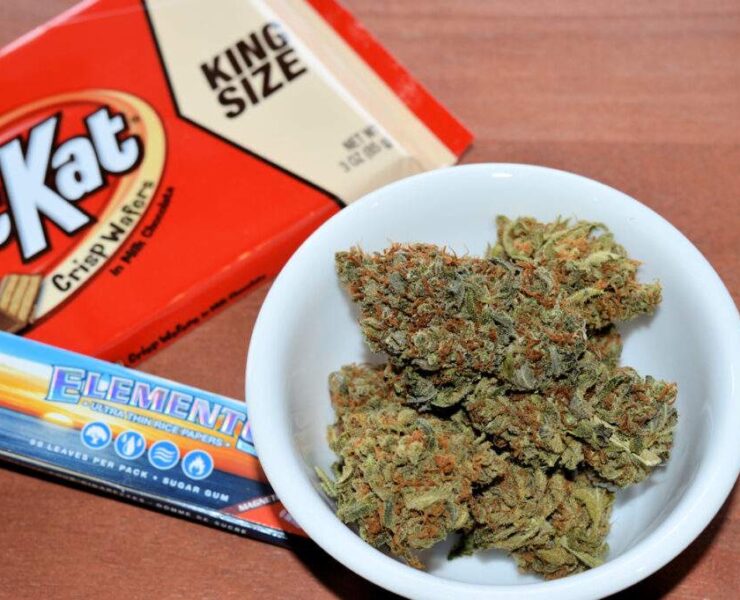 Time to Bring Our Home Grown Buds Up a Big Notch