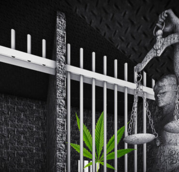 How Can Someone Get a Life Sentence for Marijuana? Is Life for Pot Even Possible?