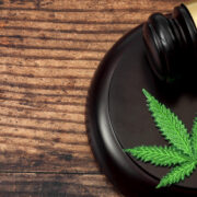 Bill To End Marijuana Prohibition Passes Key Committee