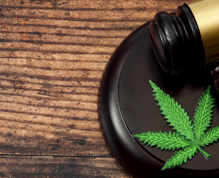 Bill To End Marijuana Prohibition Passes Key Committee