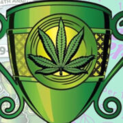 Emerald Cup Recap