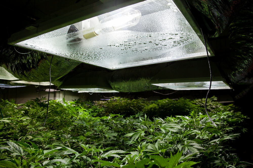 High pressure sodium grow light