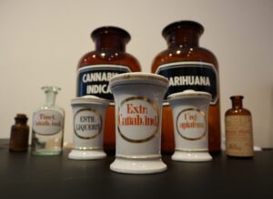 World of Cannabis Museum