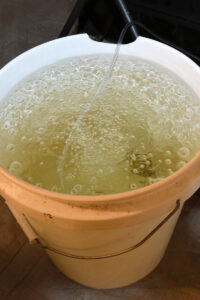 Aways Aerate Your Cannabis Water