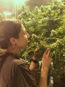 Cannabis Plant Love