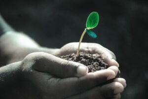 Magic Microbes for Healthy Plants