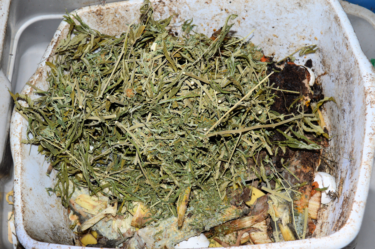 Just Chop Up Organic Matter Like Stems Before Adding to Your Tumbler