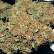 Kali Thai Buds