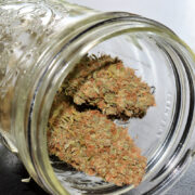 Medical Cannabis Grade Herb