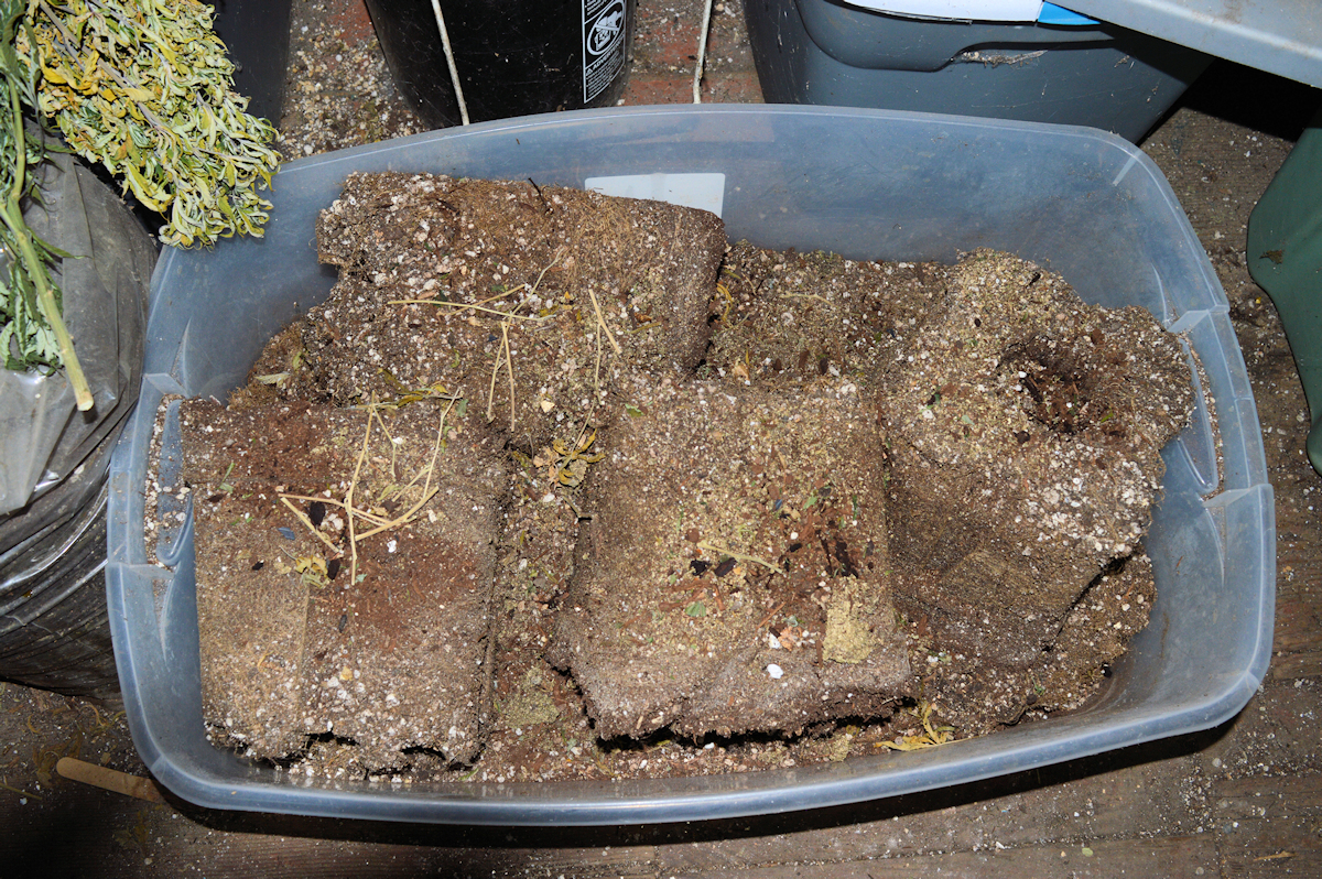 Rootballs are Slammed Full of Nutrients and Primo Organic Matter