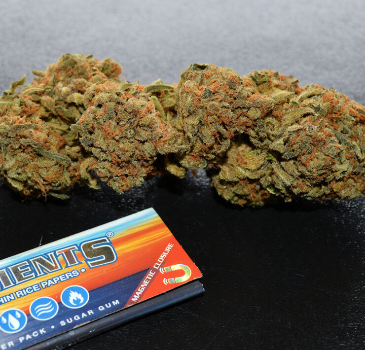 Top Shelf Thai Hybrid Organic Cannabis
