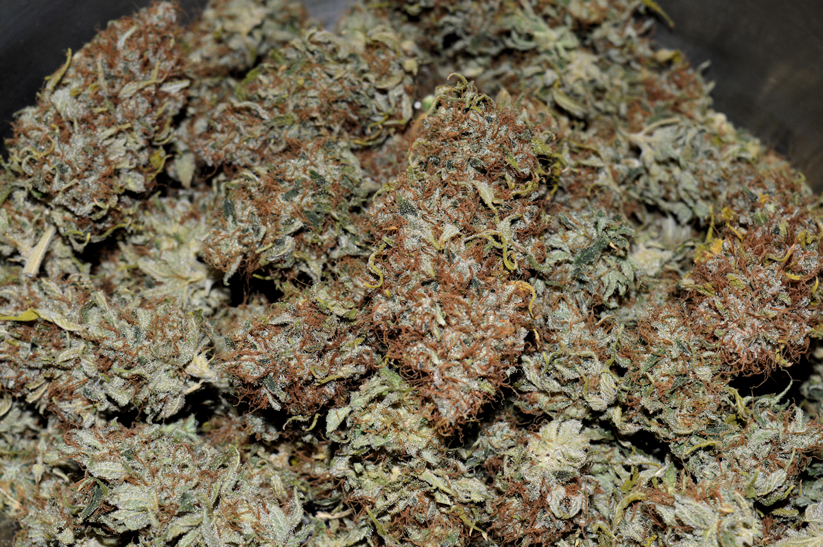 The Largest Yields Can Easily be Found by Keeping Harvested Plants Labeled