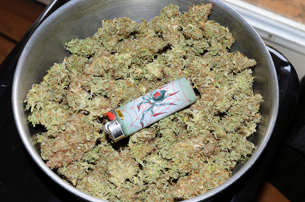 Cannabis Water for Container Growing Should be Around 40 to 80 PPM; Generally Speaking