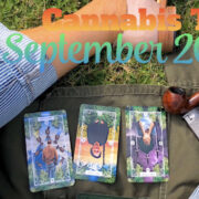 Cannabis Flower of Life Tarot September 2020