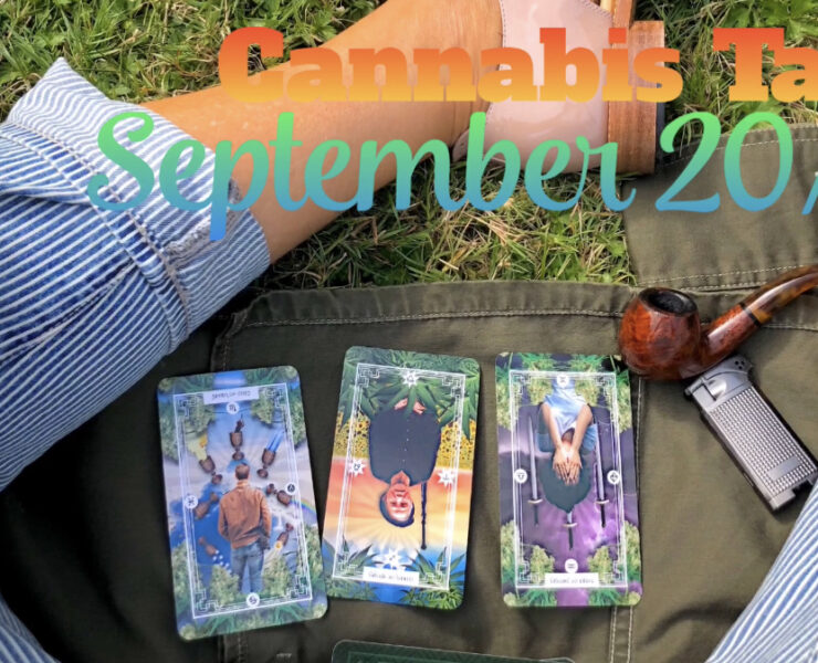 Cannabis Flower of Life Tarot September 2020