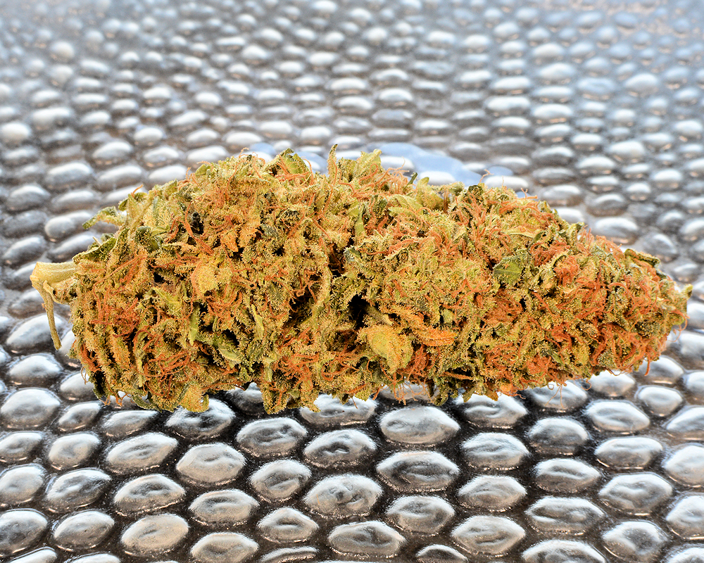 A Bud Still Killer After 10 Months Stored My Way