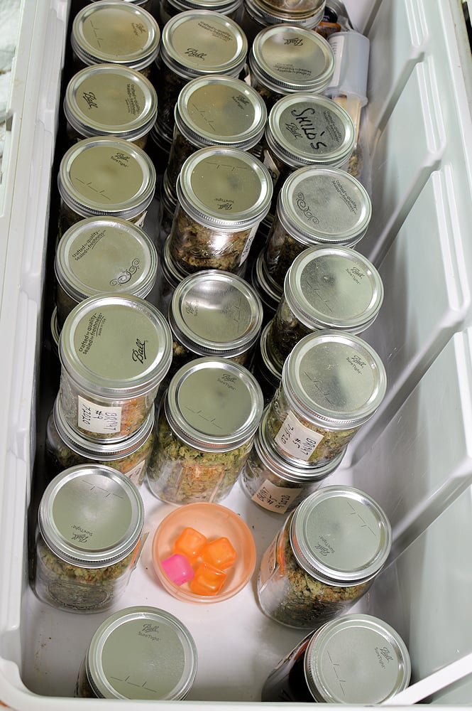 Big Coolers are My Favorite Storage Containers