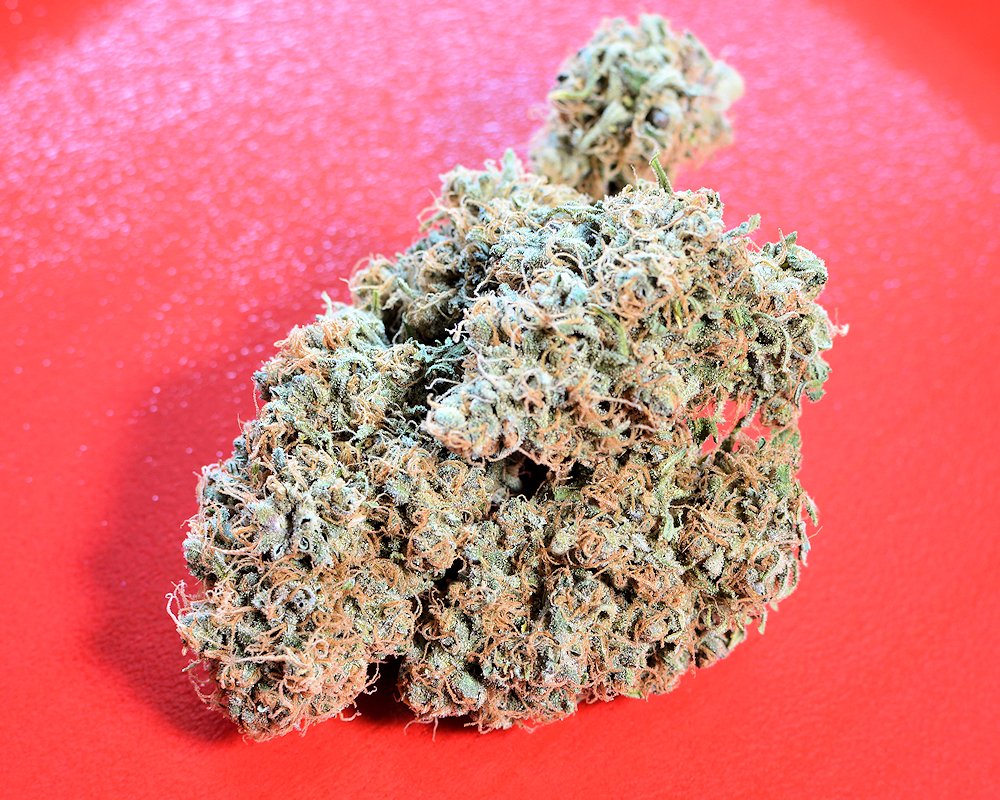 Cannabis Friendly Compost Grown Durban Poison