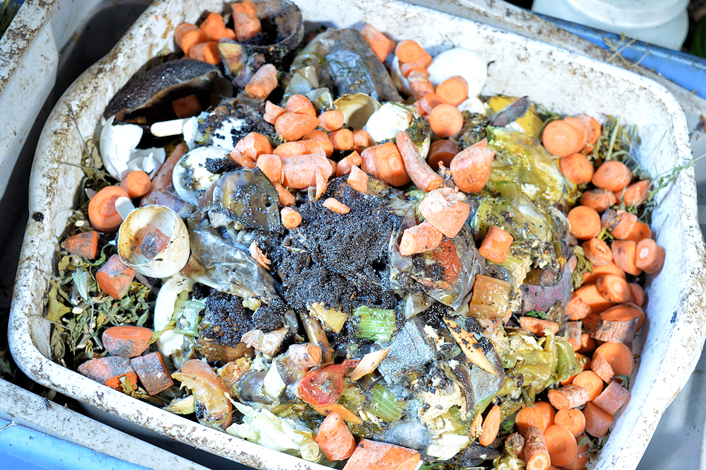 Cannabis Friendly Composting – My Outdoor Collection Tote