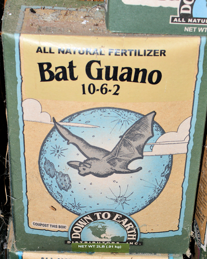 My Favorite Bat Guano for Catalyzing Cannabis Friendly Compost