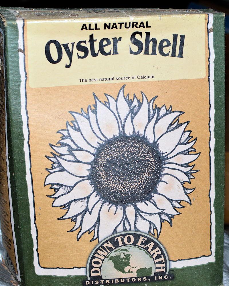 Oyster Shells Ground – by Down to Earth Brand