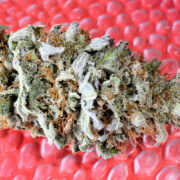 Pineapple PSI Dried Bud