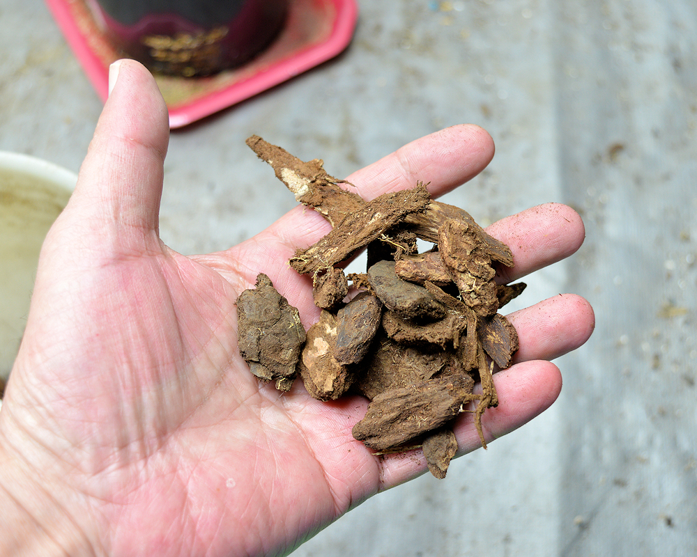 Raw Not Composted Chunky Bark Mulch