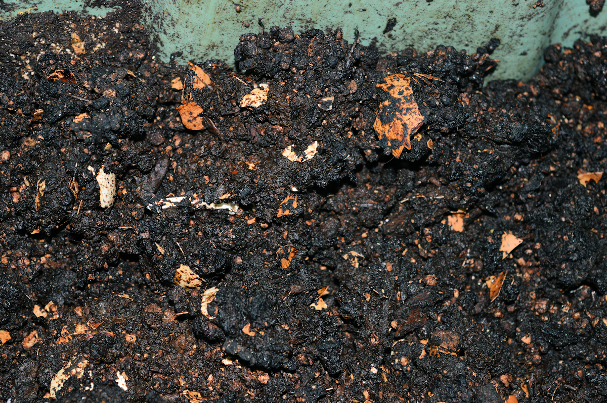 Rev’s Homemade Earthworm Castings