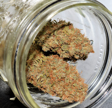 Dolomite Lime Makes Sweet Smoking Buds