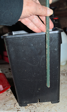 Here is the Depth Your Soil Spikes Should Be