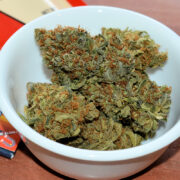 High Satisfaction from Selecting Cannabis Plants Well