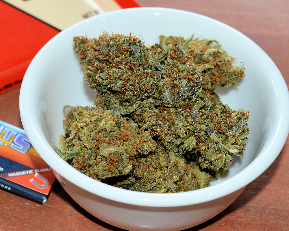 High Satisfaction from Selecting Cannabis Plants Well