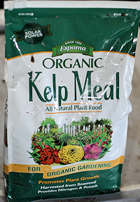 Kelp Meal